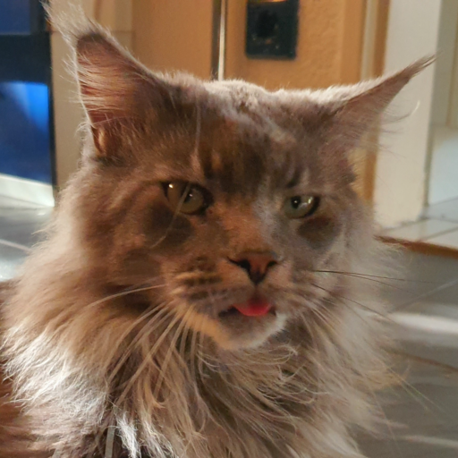 portnoytmy/BS_Praktikum4